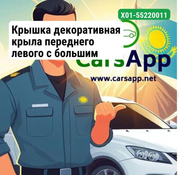 Крышка декоративная крыла переднего левого с большим отверстием для Lixiang L8 и L9