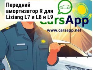 Передний амортизатор R для Lixiang L7 и L8 и L9 X01-29050022