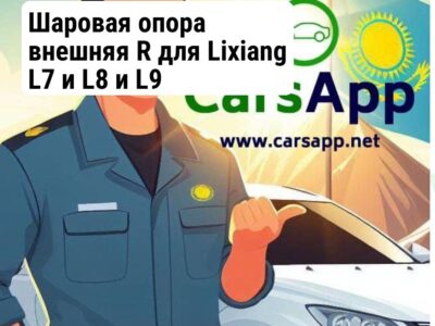 Шаровая опора внешняя R для Lixiang L7 и L8 и L9 X01-34010021