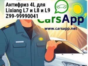 Антифриз 4L для Lixiang L7 и L8 и L9 Z99-99990041