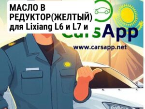 МАСЛО В РЕДУКТОР(ЖЕЛТЫЙ) для Lixiang L6 и L7 и L8 и L9 (Z99-99990046-AWB)