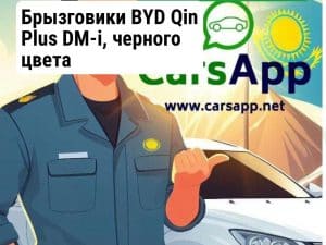 Брызговики BYD Qin Plus DM-i, черного цвета