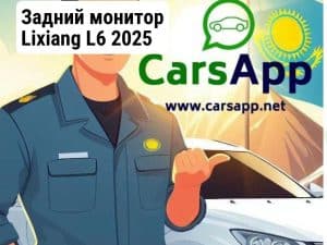 Задний монитор Lixiang L6 2025