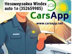 Незамерзайка Windex auto 1л