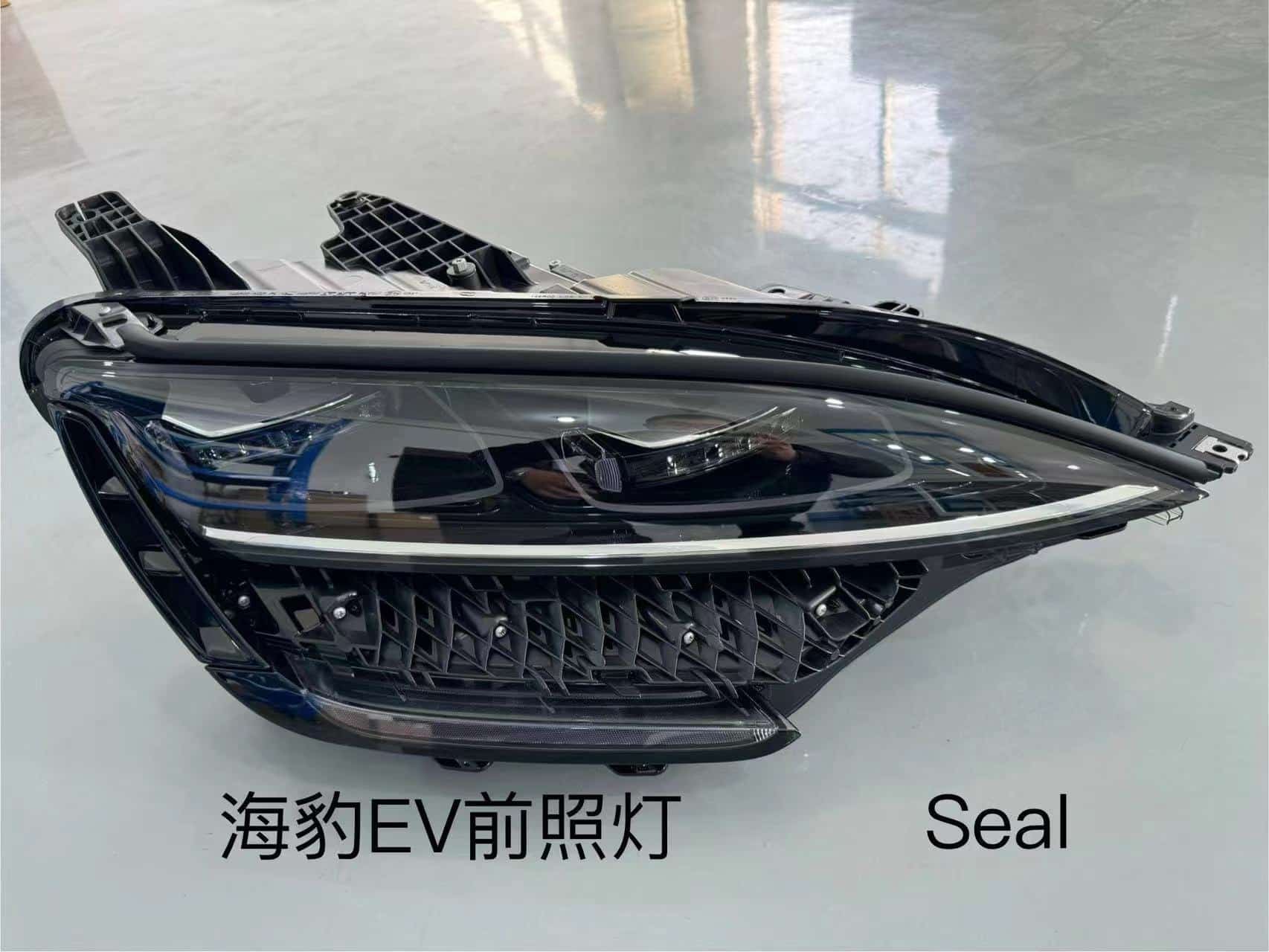 Фара для электромобиля Sea Lion EKEA-4121010/020BG