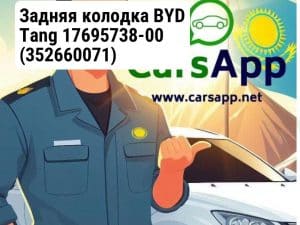 Задняя колодка BYD Tang 17695738-00