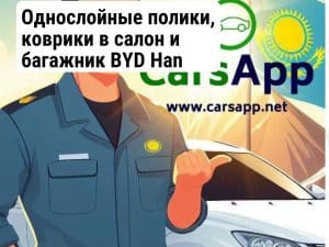 Однослойные полики, коврики в салон и багажник BYD Han