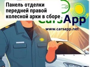 Панель отделки передней правой колесной арки в сборе - черная 14248120-00