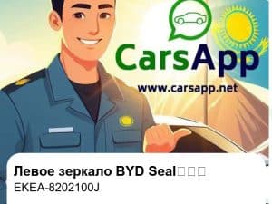Левое наружное зеркало заднего вида в сборе для BYD Seal智驾版, оригинал (EKEA-8202100J)