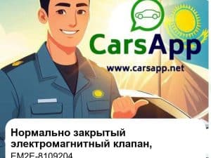 常闭电磁阀 (Нормально закрытый электромагнитный клапан) для Denza D9 EV / Denza N8 EV / BYD Seal / BYD Qin PLUS EV / BYD Song PLUS EV / BYD Han EV и др., оригинал (EM2E-8109204)