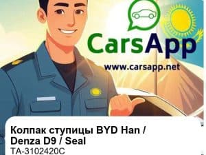 Колпак ступицы колеса в сборе для BYD Han DM / Denza D9 EV / DM-i / BYD Seal и др., оригинал (TA-3102420C)