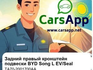 Задний правый кронштейн подвески в сборе для BYD Song L EV / BYD Seal, оригинал (TA70-2001700AA)