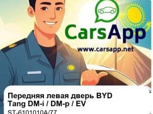 Передняя левая дверь в сборе для BYD Tang DM-i / DM-p / EV, оригинал (ST-6101010A/77)