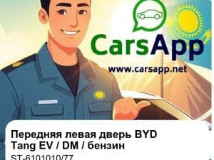 Передняя левая дверь в сборе для BYD Tang EV / Tang DM / Tang бензин, оригинал (ST-6101010/77)