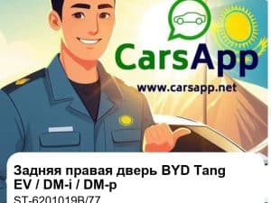 Задняя правая дверь в сборе для BYD Tang EV / DM-i / DM-p, оригинал (ST-6201019B/77)