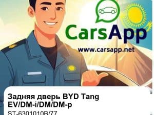 Задняя дверь в сборе для BYD Tang EV/DM-i/DM/DM-p, оригинал (ST-6301010B/77)