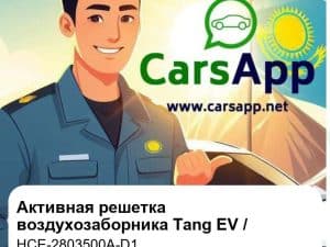 Активная решетка воздухозаборника в сборе для Tang EV / Han EV / BYD Seal EV, оригинал (HCE-2803500A-D1)
