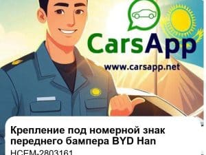 Крепление под номерной знак переднего бампера для BYD Han EV / DM-i, оригинал (HCEM-2803161)
