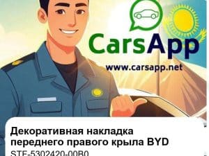 Декоративная накладка переднего правого крыла, стандартный черный для BYD Tang EV/DM-i/DM-p, оригинал (STF-5302420-00B0)