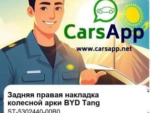 Задняя правая накладка на колесную арку, стандартный черный для BYD Tang DM-p / DM-i / EV, оригинал (ST-5302440-00B0)