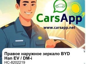 Зеркало заднего вида правое наружное в сборе с монитором слепых зон для BYD Han EV / DM-i, оригинал (HC-8202219)