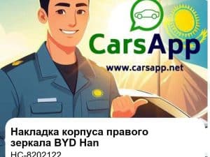 Накладка корпуса правого наружного зеркала для BYD Han DM-i / DM-p / EV, оригинал (HC-8202122)