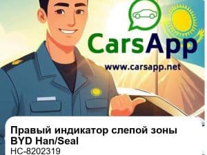 Правый индикатор слепой зоны в сборе для BYD Han EV / Han DM-i / BYD Seal, оригинал (HC-8202319)