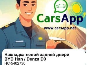 Декоративная накладка на левую заднюю дверь для BYD Han DM-i / Han EV / Denza D9, оригинал (HC-5402730)