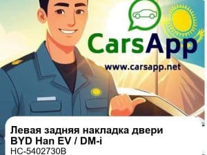 Левая задняя декоративная накладка двери для BYD Han EV / DM-i, оригинал (HC-5402730B)