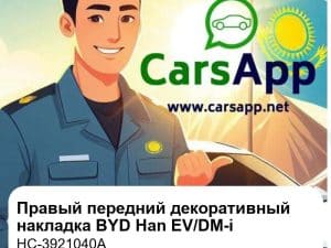 Правый передний декоративный накладка крыла для BYD Han EV / DM-i, оригинал (HC-3921040A)