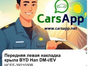 Передняя левая декоративная накладка крыла для BYD Han DM-i / EV, оригинал (HCEF-3921030B)