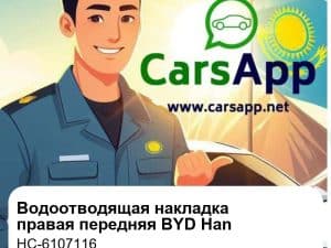 Внешняя водоотводящая накладка правой передней двери для BYD Han EV / DM-i / DM-p, оригинал (HC-6107116)