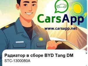 Радиатор в сборе для BYD Tang DM, оригинал (STC-1300080A)