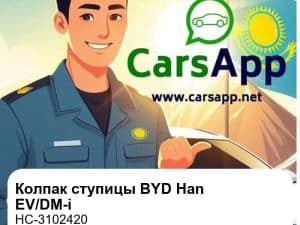 Колпак ступицы колеса в сборе для BYD Han EV/DM-i, оригинал (HC-3102420)