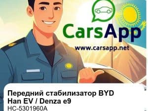 Передний стабилизатор в сборе для BYD Han EV / Denza e9, оригинал (HC-5301960A)