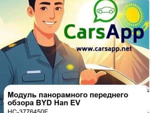Модуль панорамного переднего обзора для BYD Han EV Champion Edition / Genesis Edition, оригинал (HC-3776450F)