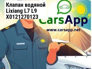 Клапан водяной Lixiang L7 L9 X0121270123 (352666172)