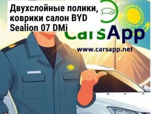 Двухслойные полики, коврики салон BYD Sealion 07 DMi (352666156)