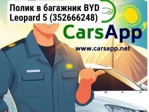 Полик в багажник BYD Leopard 5 (352666248)