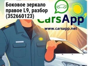 Боковое зеркало правое L9, разбор (352660123)