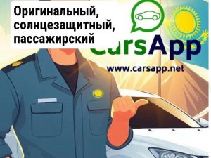 Оригинальный, солнцезащитный, пассажирский козырек BYD Leopard 3