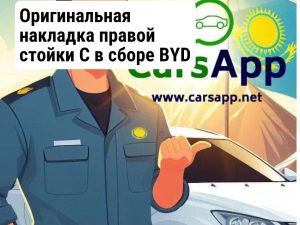 BYD LEOPARD 3 Накладка правой стойки C в сборе 18099563-00 оригинал