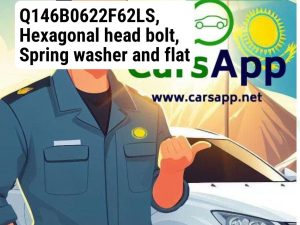 Q146B0622F62LS, Hexagonal head bolt, Spring washer and flat washer group
