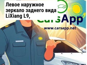 Левое наружное зеркало заднего вида LiXiang L9, X01-90000293, разбор