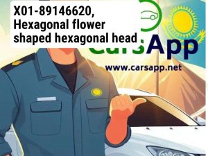 X01-89146620, Hexagonal flower shaped hexagonal head bolt, Spring washer