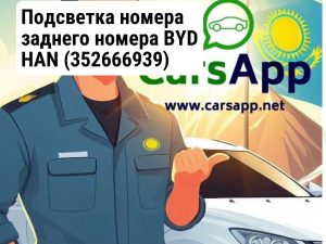 Подсветка номера заднего номера BYD HAN