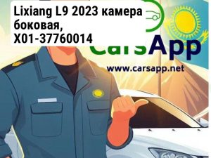 Lixiang L9 2023 камера боковая, X01-37760014