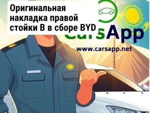 BYD LEOPARD 3 Накладка правой стойки B в сборе 18099515-00 оригинал