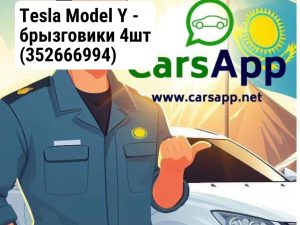 Tesla Model Y - брызговики 4шт