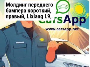 Молдинг переднего бампера короткий, правый,  Lixiang L9, X01-28030109